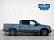 2010 Ford F-150 Platinum