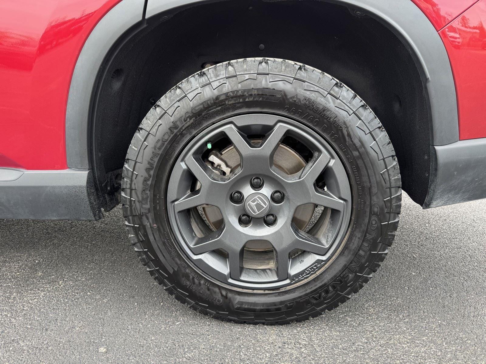 2025 Honda Pilot TrailSport