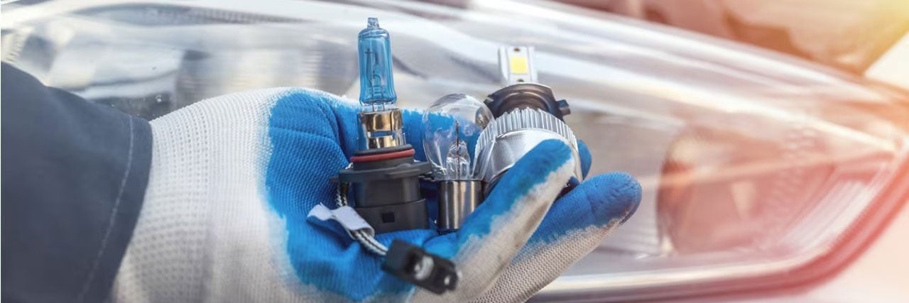 closeup view of headlight bulbs
