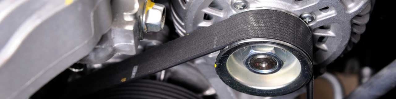Close Up View of The Serpentine Belt